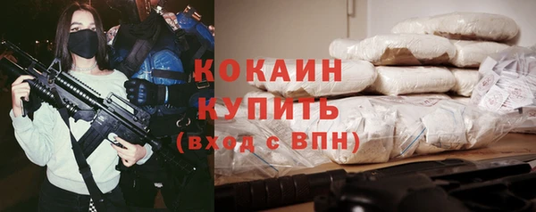 сатива Богородск