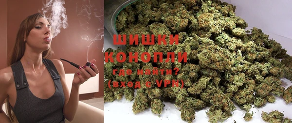 твердый Верхний Тагил