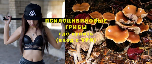 винт Богданович
