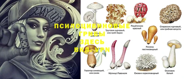 винт Богданович