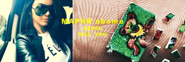 индика Белокуриха